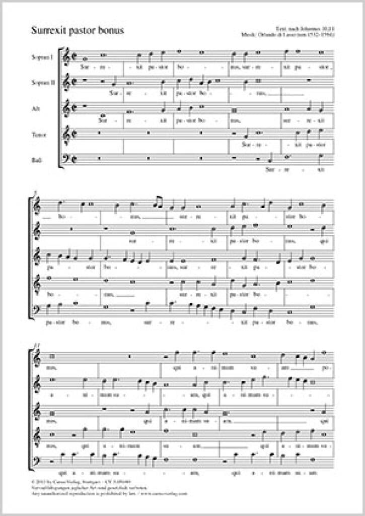 Surrexit pastor bonus